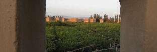 The Vines Lodge Turpan