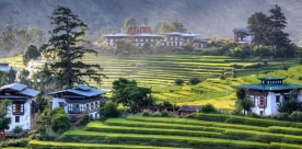 Tashi Delek Bhutan Plus